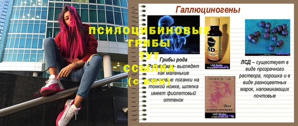 прущая мука Заводоуковск