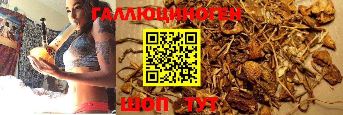 Галлюциногенные грибы Cubensis Истра
