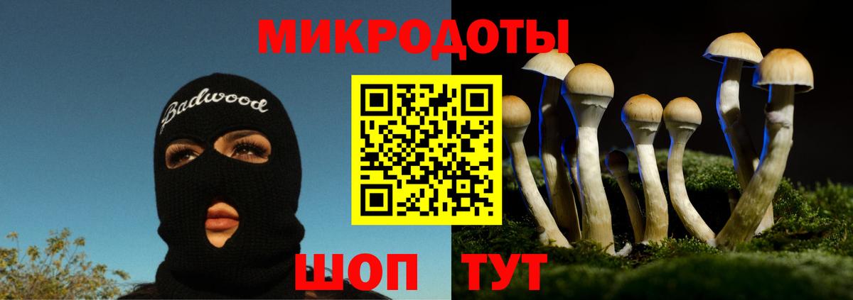 Галлюциногенные грибы GOLDEN TEACHER  Вход с VPN  Псилоцибиновые грибы ЛСД  Истра 