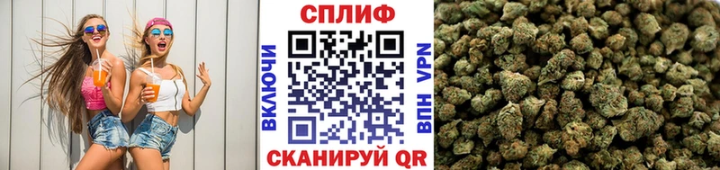 МАРИХУАНА марихуана  Истра 